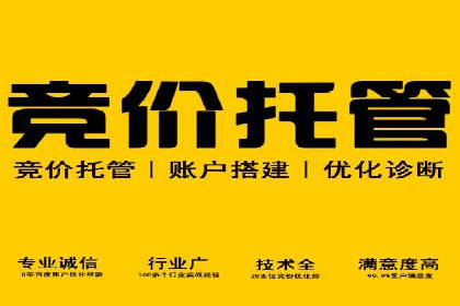 百度推广中SEO优化的成功案例分析
